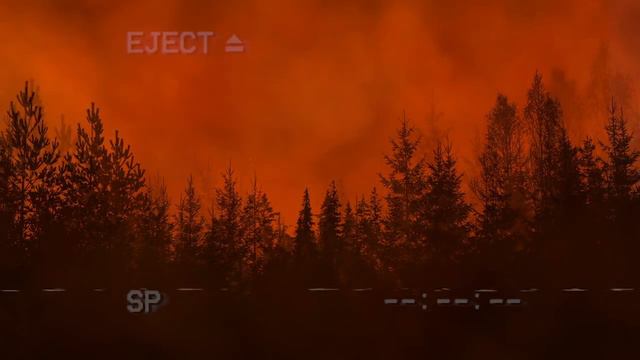 ГОЛОС МЕРТВЫХ | Страшная история на ночь | Черный Рик