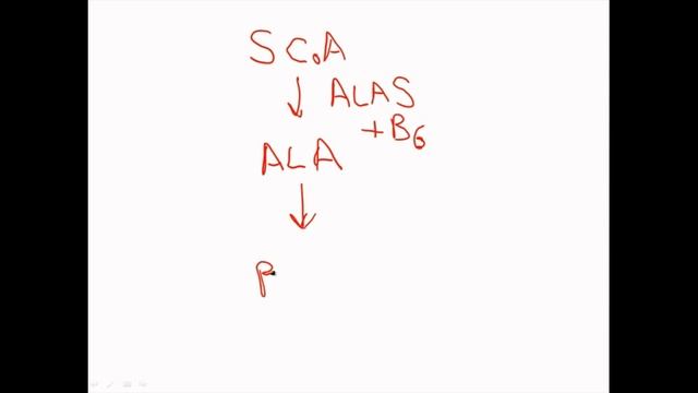 Pathoma USMLE - V ГЛАВА - 7. Микроцитарная анемия 2/3