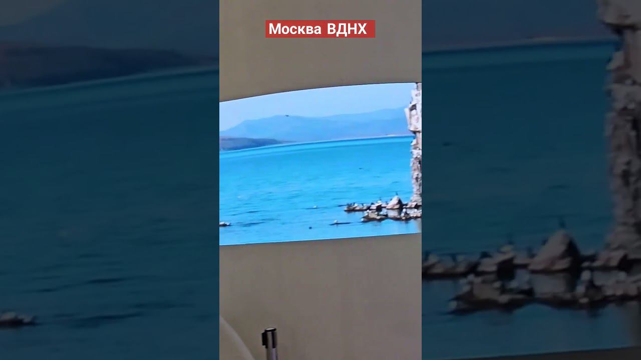 выставка Россия Приморский край #пешкомпомиру #пешкомпогороду #пешкомпомоскве #travel #вднх