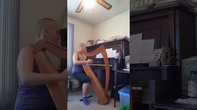 Harpiano attempt the second: Westworld theme смотреть онлайн