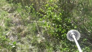 Делаем Лесоводственный уход. Кусторез STIHL FS 450