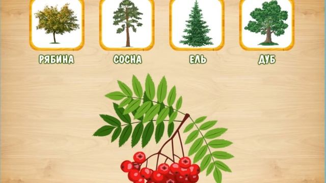 Познавательная Игра "Деревья". Учим детей. Развивающие Игры. Мультик.