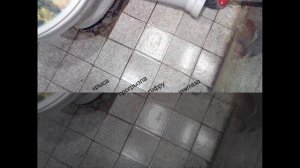 Крыса прогрызла гофру унитаза.