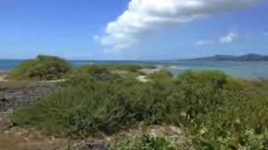 Kayaking Camping St Croix, US Virgin Islands