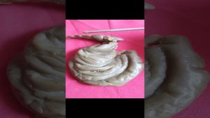 Восковая отливка родового паразитирующего канала.mp4