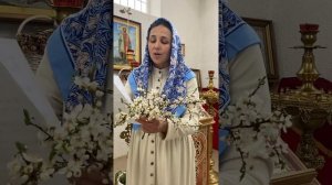 Взбранной Воеводе. «Знаменно-демественный» распев