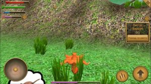 СИМУЛЯТОР БЕЛКИ #5 ВОСПИТЫВАЕМ БЕЛЬЧОНКА и ОХОТИМСЯ на ЗМЕЮ в Squirrel Simulator