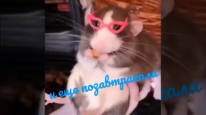 12345 вышел зайчик погулять