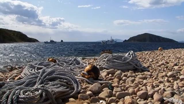 ЗАЛИВ ПЕТРА ВЕЛИКОГО смотреть онлайн