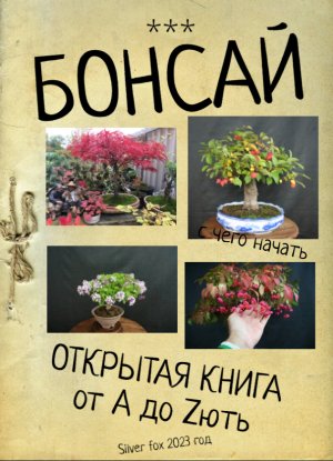 Бонсай открытая книга от А до Zють предисловие 1 часть рreface 1 part