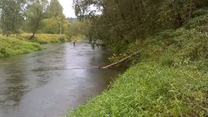 ШОК!!! Огромная выдра на Москва реке!!! д.Лобково Рузский р-н