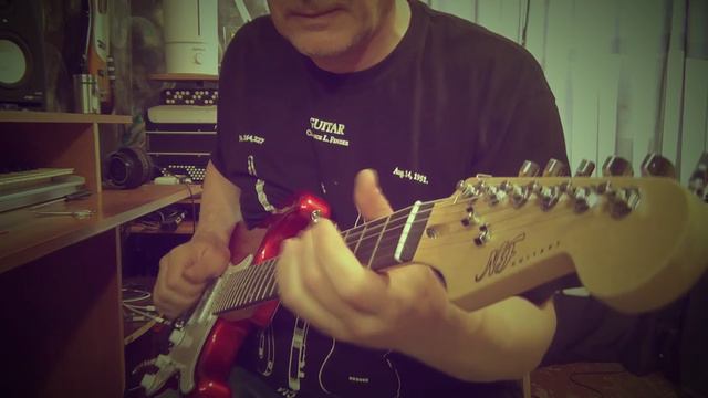 NF Guitars SB-22 (L-G1)