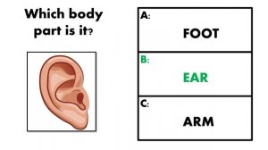 Body Parts - Части тела - английские слова - Тест