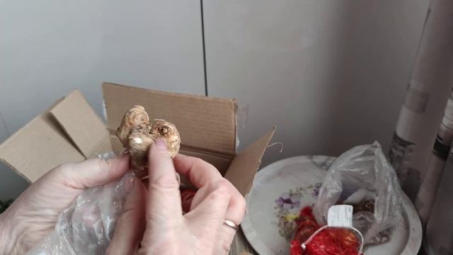 Посылка из компании semena. by и сюрприз не дне посылки смотреть онлайн