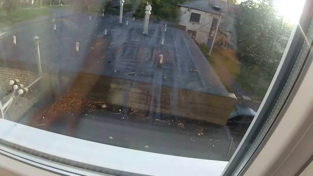 Делимся ДОСТИЖЕНИЕМ Димы / Не могу НАЧАТЬ творить... смотреть онлайн