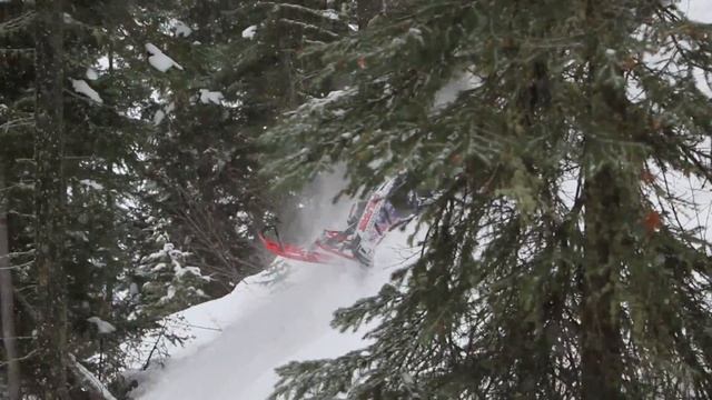 Chris Burandt treeriding on a BoonDocker Turbo Polaris Pro RMK 163 смотреть онлайн
