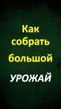 Как собрать большой урожай. Урожайный заговор. Сохрани и выучи. Урожайный огород. Дача