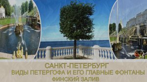Россия Санкт-Петербург включения главного фонтана в действии и красоты парков Петергофа#15
