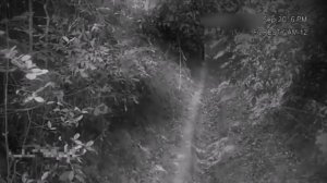 Призрак напал на мальчика в лесу. The Ghost attacked the boy in the forest