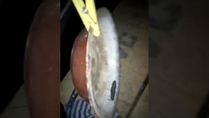 Как усилить скорость и прием интернета на смартфоне своими руками #антена #4G #лайфхак #сигнал