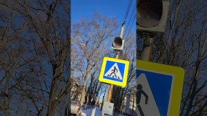 Светофор мигает рядом с пешеходным переходом,снимает ребенок,мультик.A traffic light flashes near.