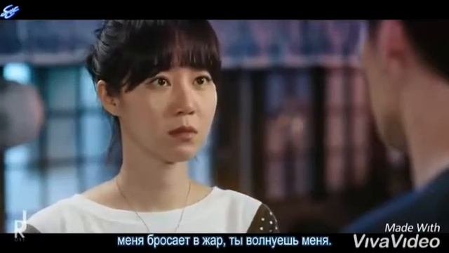 Kameliya Guli — когда цветет камелия
