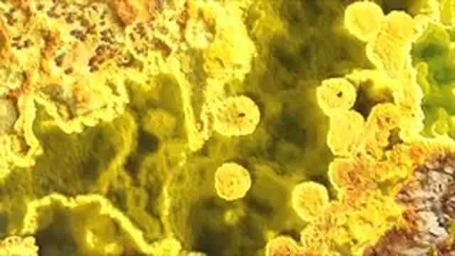 Музыка лечит сердце и сосуды? Успокаивающая музыка восстанавливает нервную системурасслабляющая 4