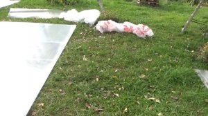 Теплица-Рус. Подготовка, установка теплицы из поликарбоната. Прямостенная теплица крепкая, надежная