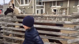 Зоопарк "У лукоморья" Тюмень