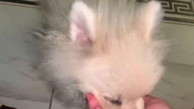 Всем наидобрейшего утречка и прекрасного дня. смотреть онлайн