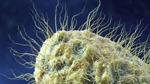 5 ОПАСНЫХ МИКРОБОВ, КОТОРЫЕ ЖИВУТ РЯДОМ С НАМИ