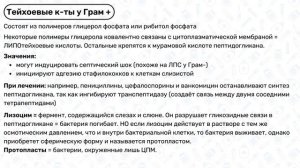 Клеточная стенка бактерий: Грам + и Грам -, окраска по Граму / Микробиология