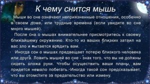 К чему снится Мышь (Сонник)
