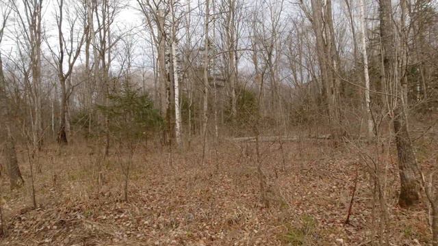 Обед на речке смотреть онлайн