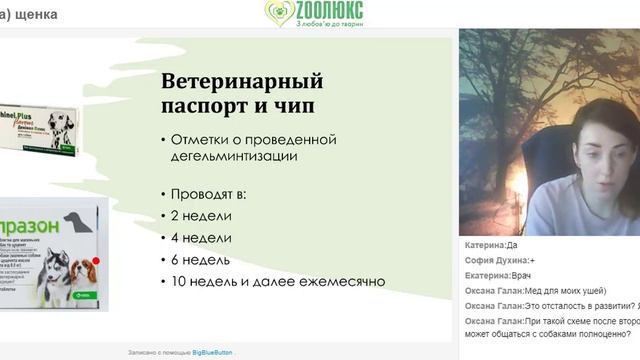 Вебинар на тему "У меня появился щенок". Часть 1.Лектор: Судьбина Юлия, врач сети ВК Зоолюкс смотреть онлайн