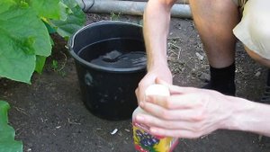 Раствор для огурцов, по таблице, замер ppm.