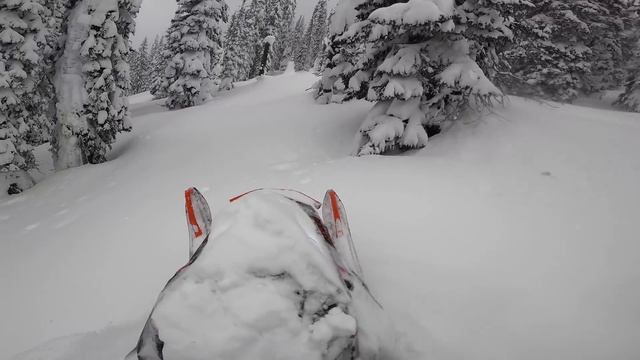 2022 LYNX + CRAZY DEEP Pow смотреть онлайн