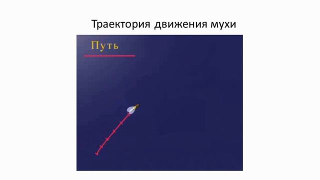 Движение и силы. Тема 8. Механическое движение. Относительность покоя и движения. Траектория, путь