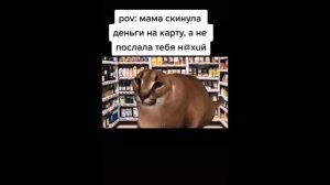 Тик ток стал Скалой Джонсоном - Подборка Тикток мемов 2021