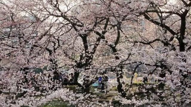 поздравления с юбилеем женщине 65 смотреть онлайн