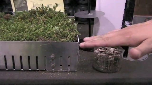 MHN TV: From the Greenbuild Show Floor смотреть онлайн