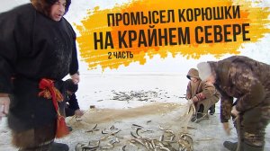С полем!: «Зимний промысел корюшки на Крайнем Севере». Часть 2
