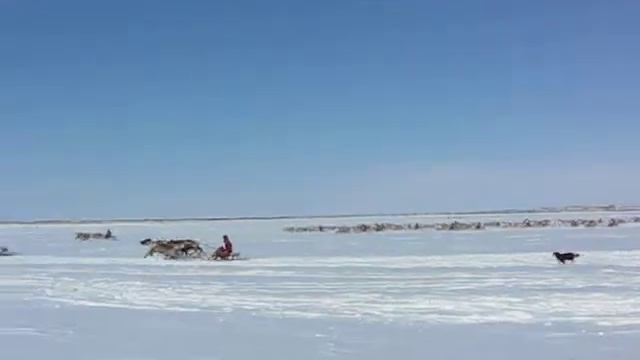 фото за апрель 095 смотреть онлайн