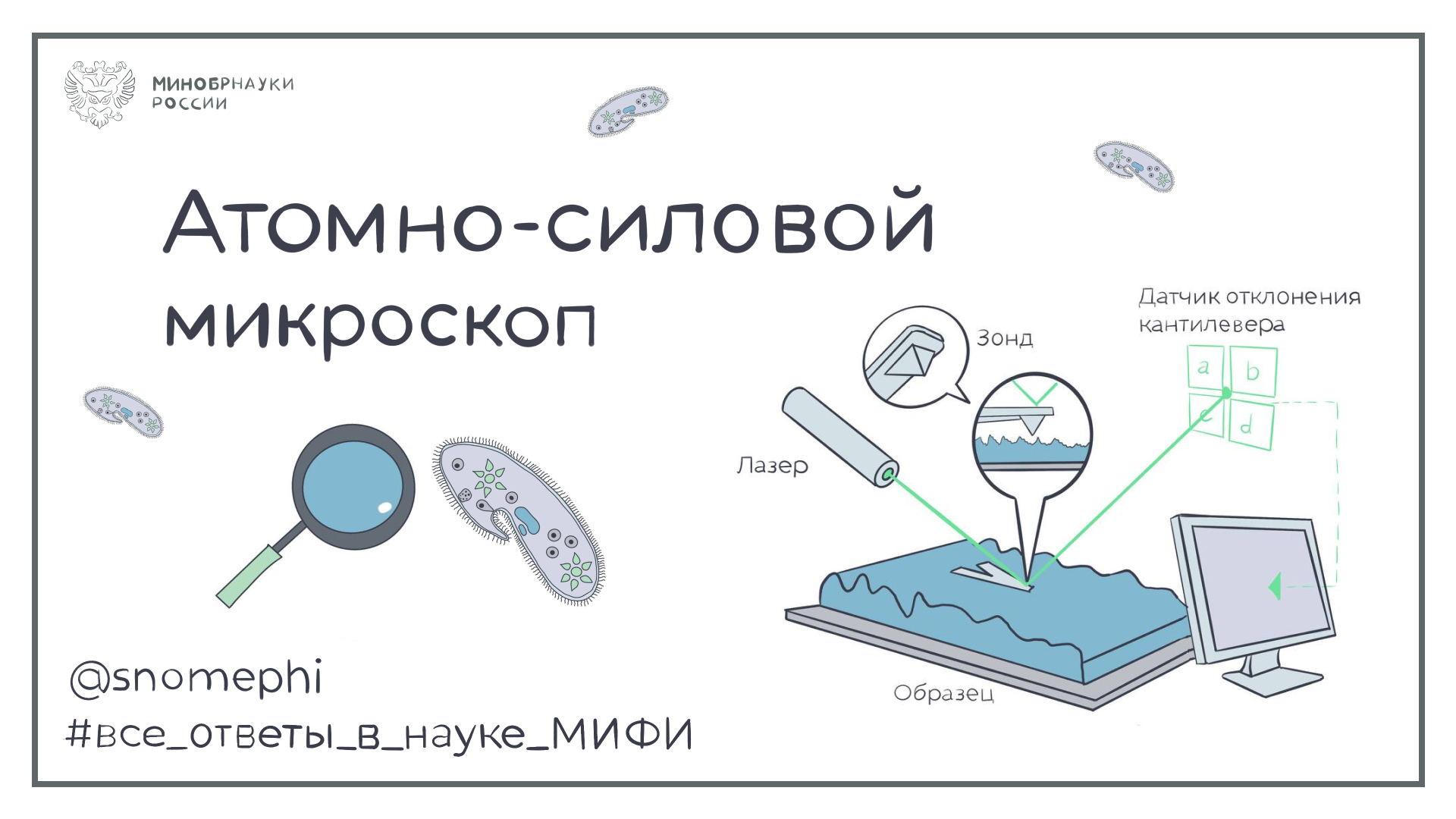 Атомно-силовой микроскоп | Все ответы в науке