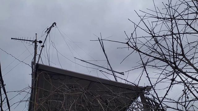 Ах ветерок, ветерок, ветер... Озорник... смотреть онлайн