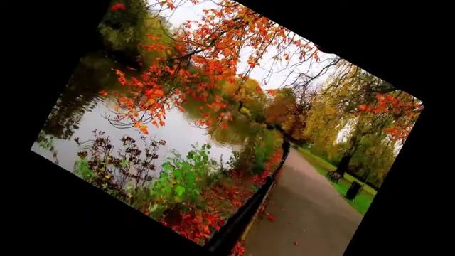 Желтые листья медленно кружат смотреть онлайн