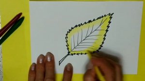 БЕРЁЗОВЫЙ ЛИСТ. Как нарисовать  лист берёзы карандашами для детей. Birch leaf Рисуем вместе