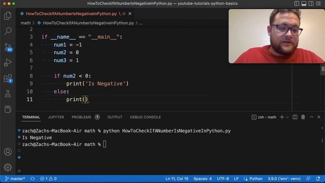 How To Check If A Number Is Negative In Python