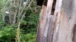 4 часть,заброшка.