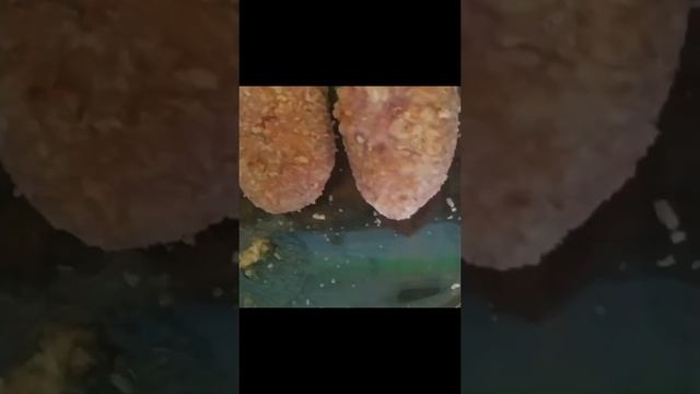 ЗРАЗЫ  мясные С ЯЙЦОМ В ДУХОВКЕ .